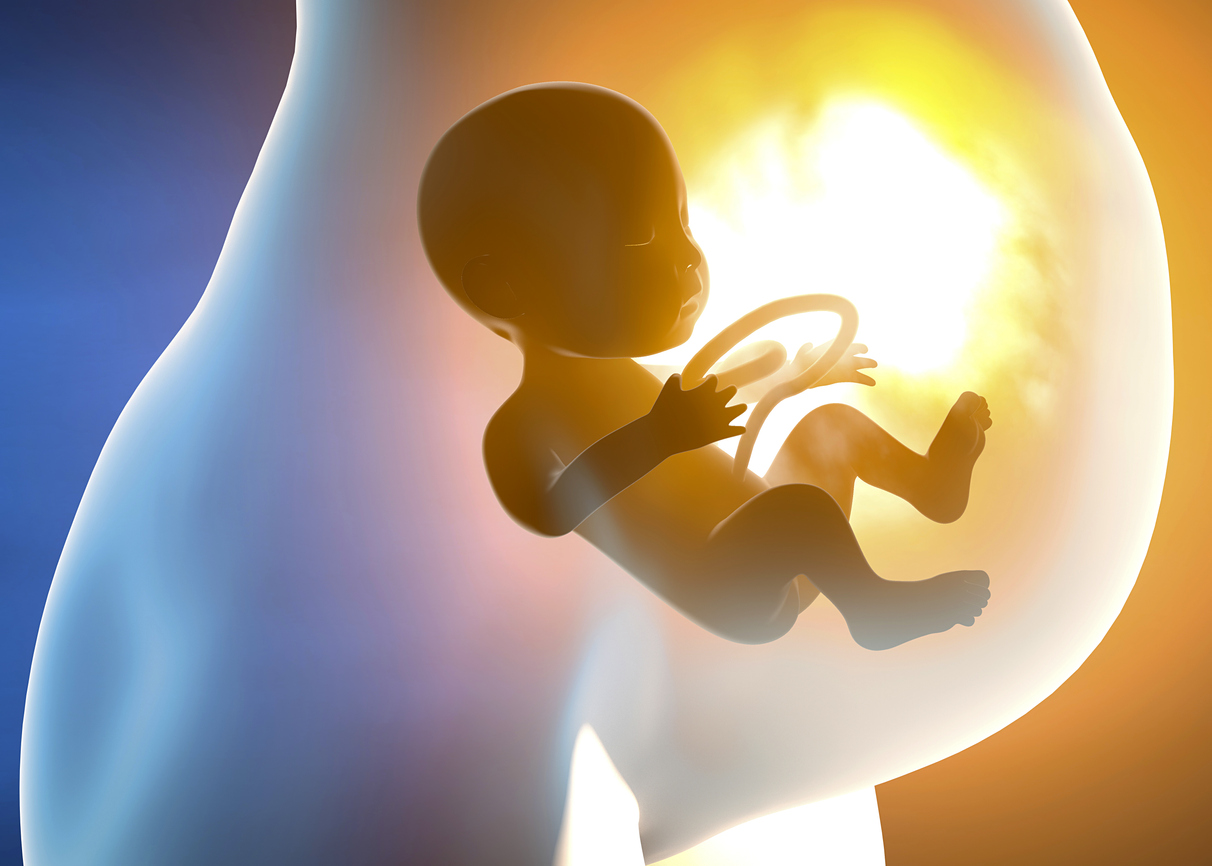 Pregnant woman and child in the womb